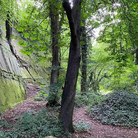 An Der Alten Mühle 1 Große 110 Qm, Zentral Gelegen, Zwei Schlafzimmer, Südbalkon, Gartenterrasse&wallbox *
